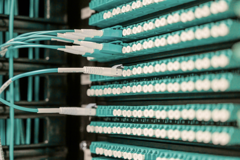 Digitalisierung und Datenmanagement