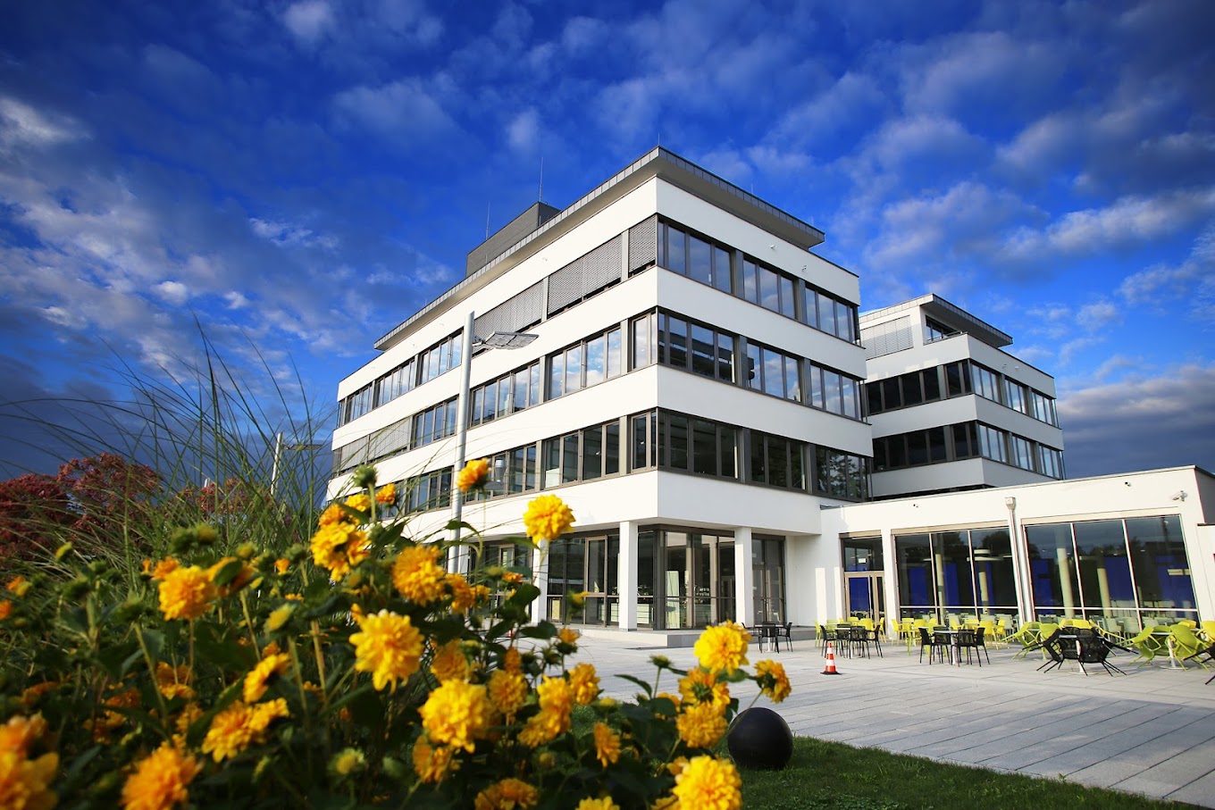 Unser Hauptsitz in Nürnberg mit gelben Blumen und blauen Himmel